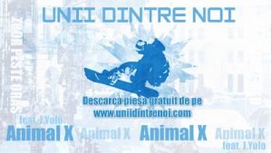 Animal-X-feat.-J.Yolo-Unii-dintre-noi