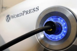 wordpress