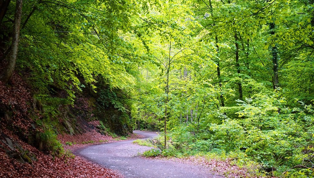 Parcul Național Cozia